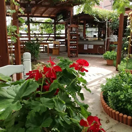 公寓 студио S *